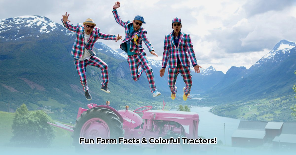 colorful-tractors